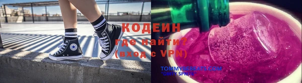 индика Новодвинск