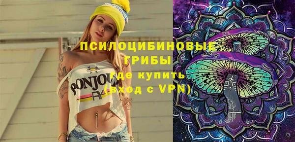 индика Баксан