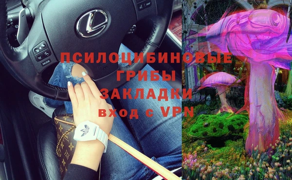 эйфоретик Магадан