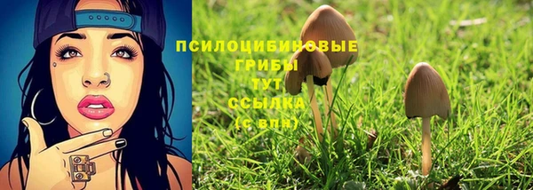 mdpv Магас