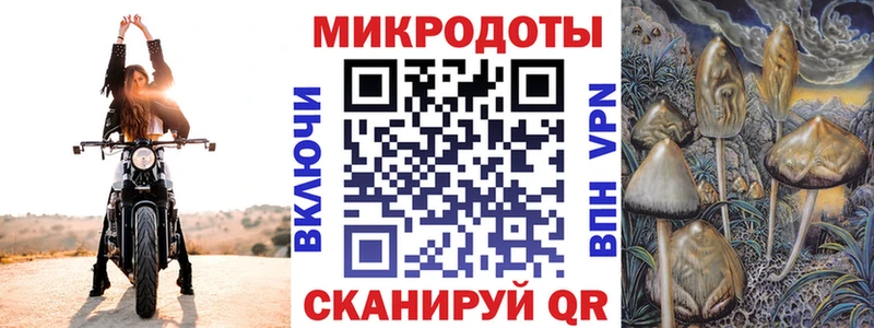 hydra   Северск  Галлюциногенные грибы Magic Shrooms 