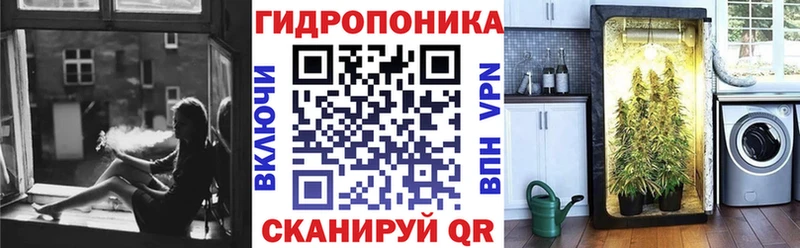 Канабис SATIVA & INDICA Северск